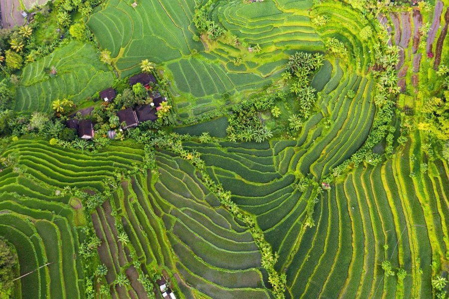 World Heritage & Packages Tour