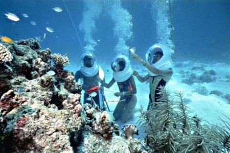 Sea Walker Packages