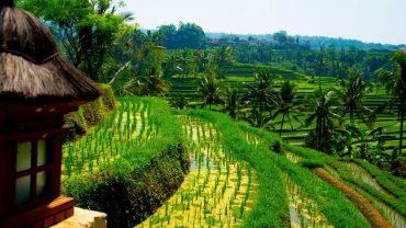 About Bali